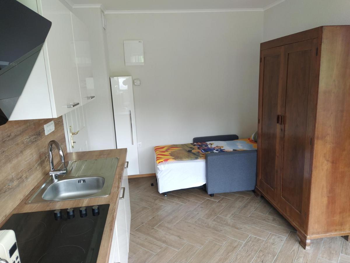 Apartmaji Maln Доленьске-Топлице Экстерьер фото